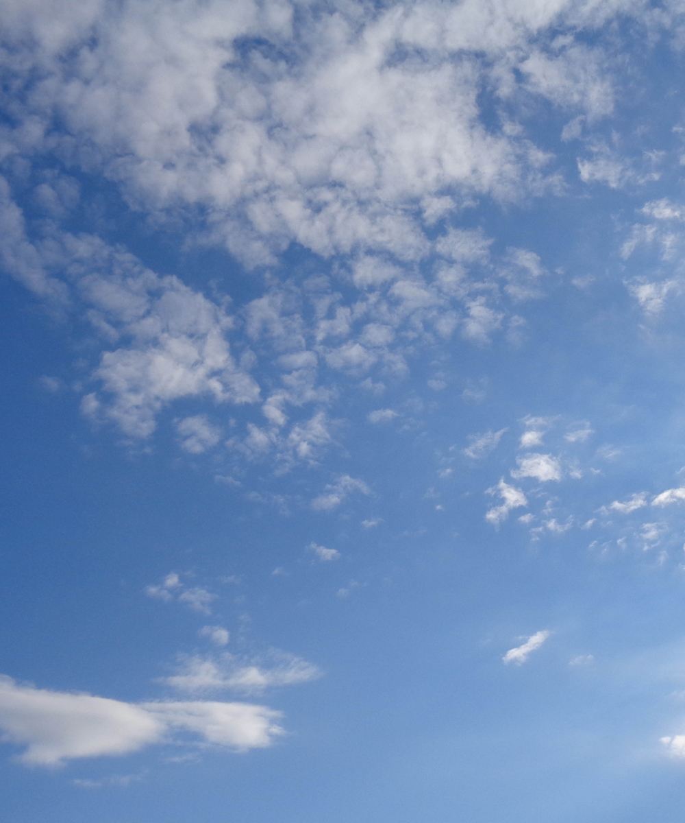 CERQUITY - Attività a servizio della collettività