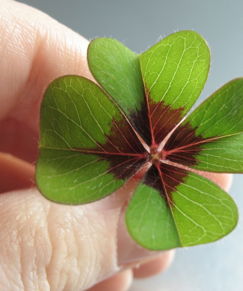 CERQUITY - Azioni di contrasto della povertà energetica