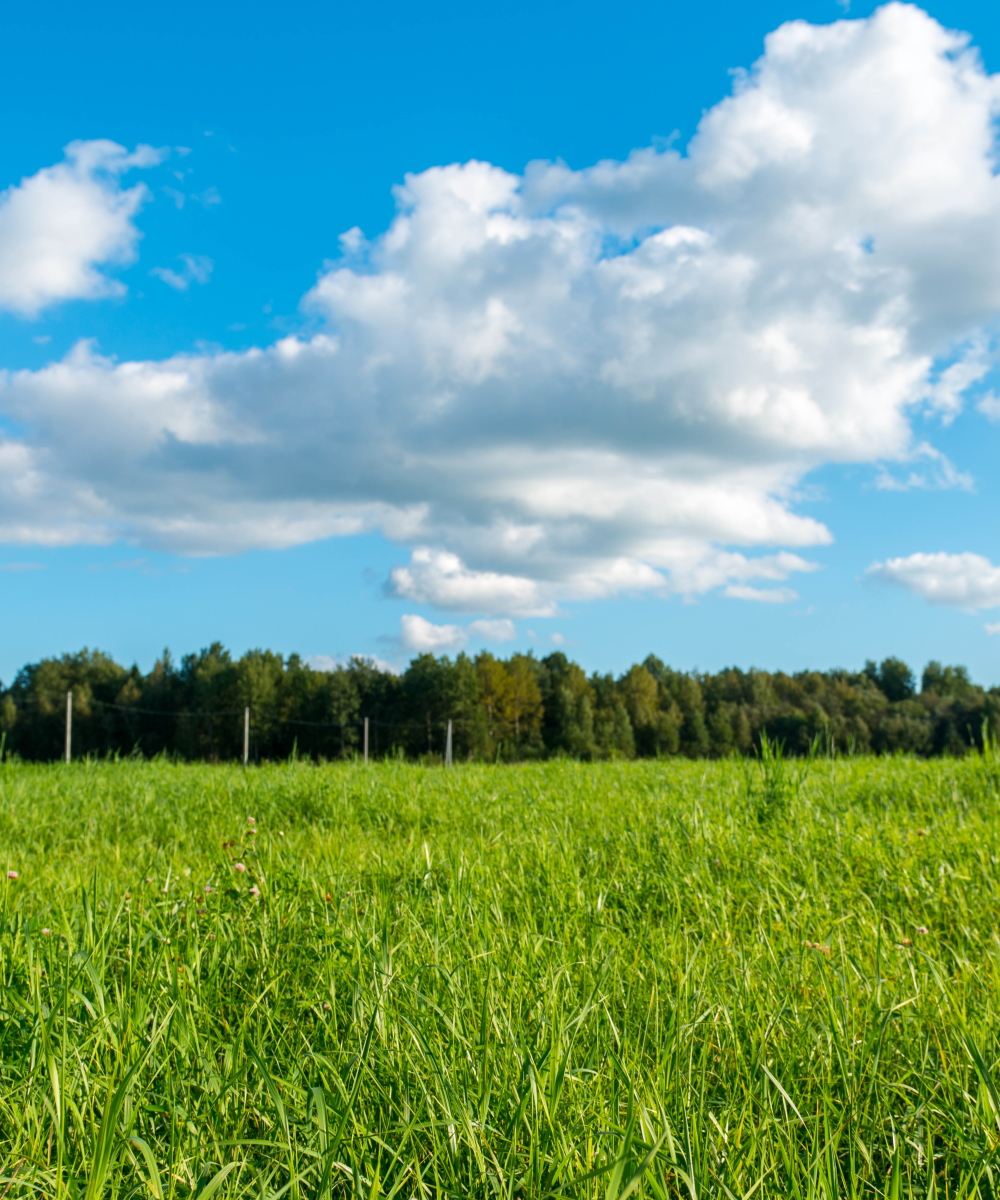 CERQUITY - Energia green a km zero