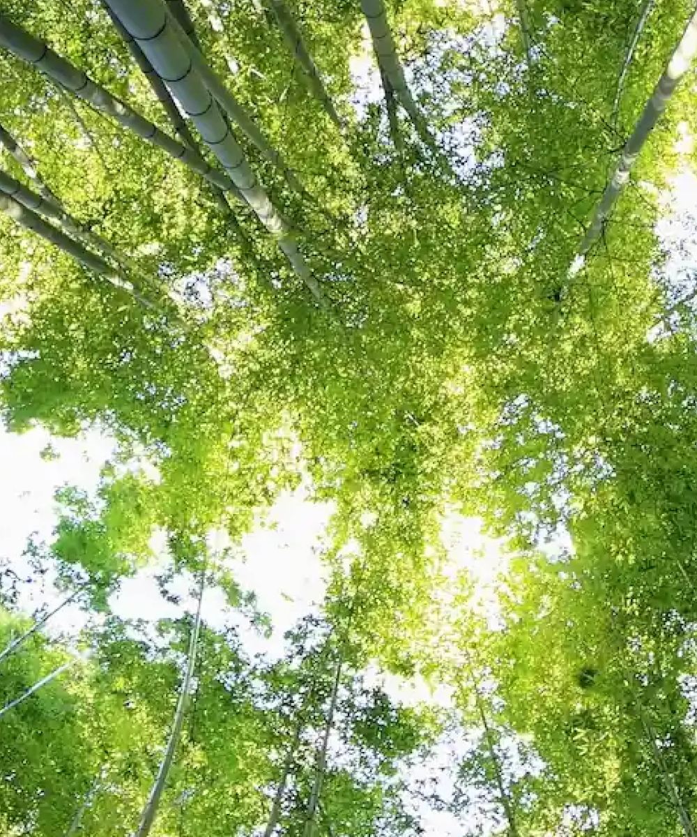 CERQUITY - Indipendenza